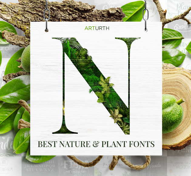 Nature And Plant The Ultimate Guide